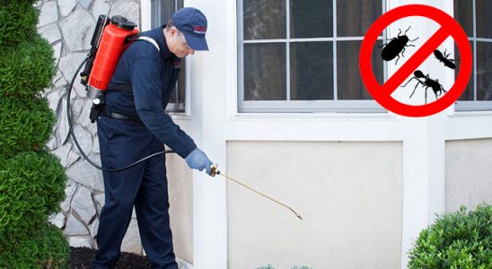 Aksaray Böcek ve Haşere İlaçlama böcek ilaçlama ve haşere kontrolü — ilaclama-tr.com